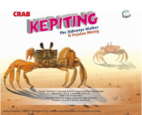 Image of Kepiting si pejalan miring